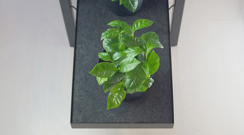 Illustration for article titled Shelving That Automatically Waters Your Plants, Even When You Forget